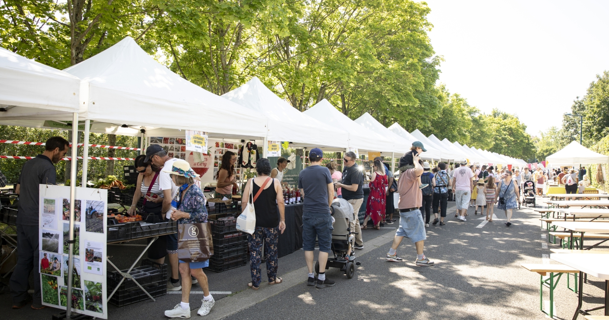 Marché des saisons