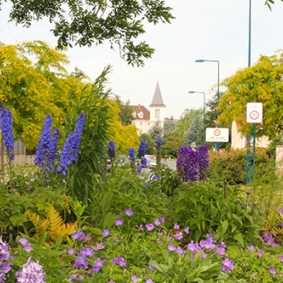 Avenue de l'Allée couverte