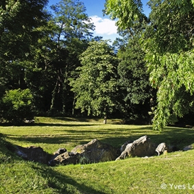 Bois des Loctaines