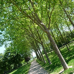 Parc du Belvédère