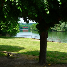Bords de l'Oise