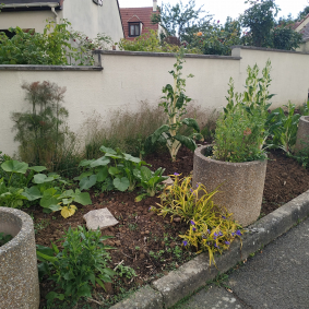 Jardin partagé Gilles Nadé