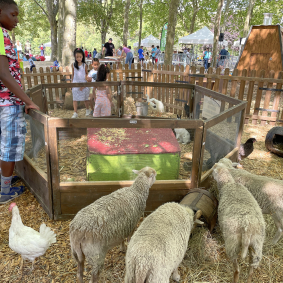 UN APRÈS-MIDI AU BELVÉDÈRE - 30 JUILLET 2022