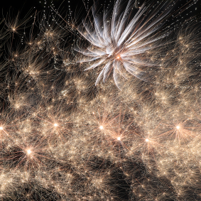 FÊTE DE L'ÉTÉ - 9 JUILLET 2022