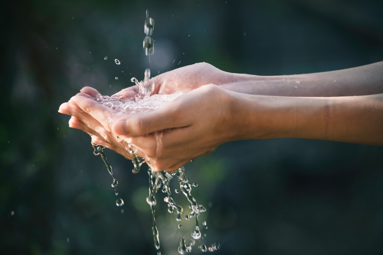 USAGE DE L'EAU