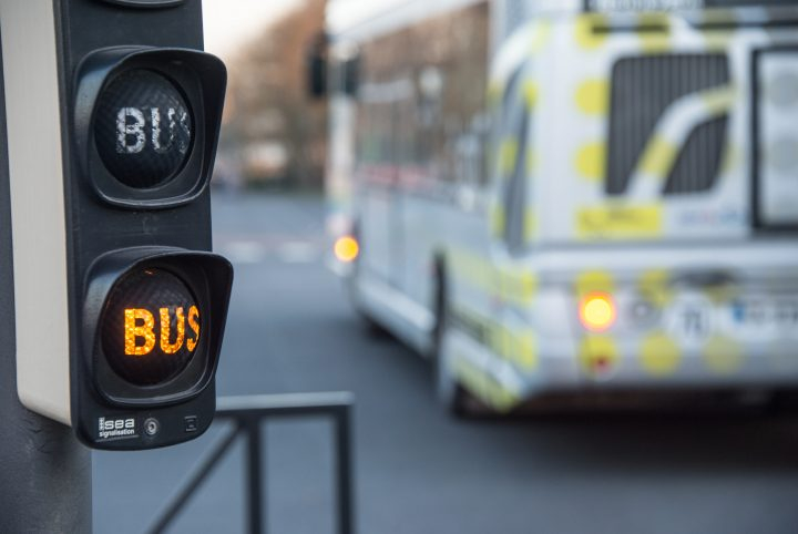 bus
