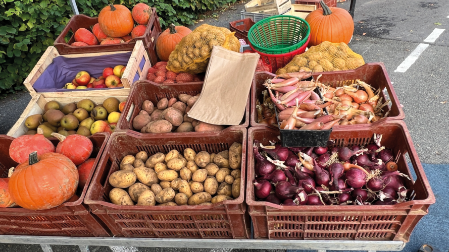 Légumes de saison