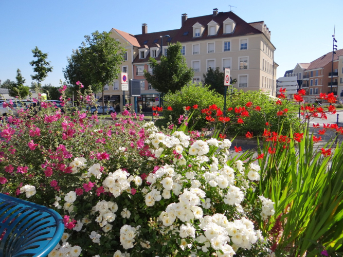 Fleurs à Vaureal