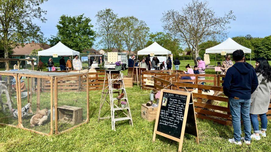 NATURE EN FÊTE