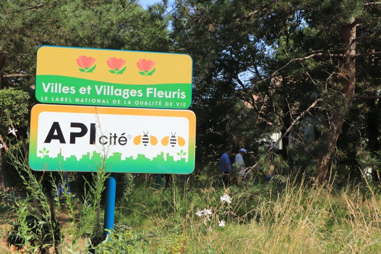 Api'Cité