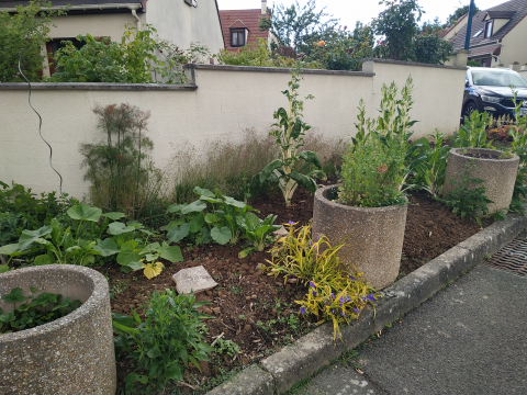 Jardin partagé Gilles Nadé