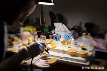 Illumine Créations