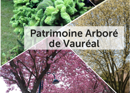 Patrimoine arborée de Vauréal