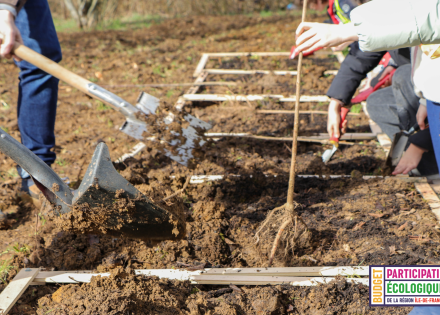 Plantation Micro-forêt urbaine BPIDF
