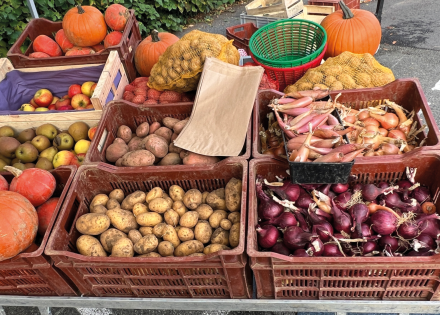 Légumes de saison