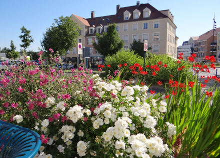 Fleurs à Vaureal