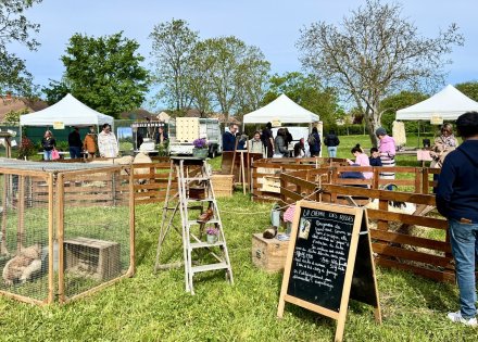 NATURE EN FÊTE