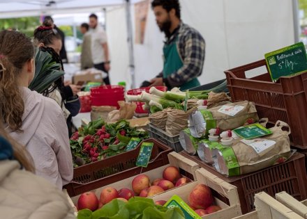 Marché des saisons 