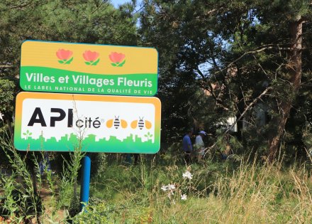 Api'Cité